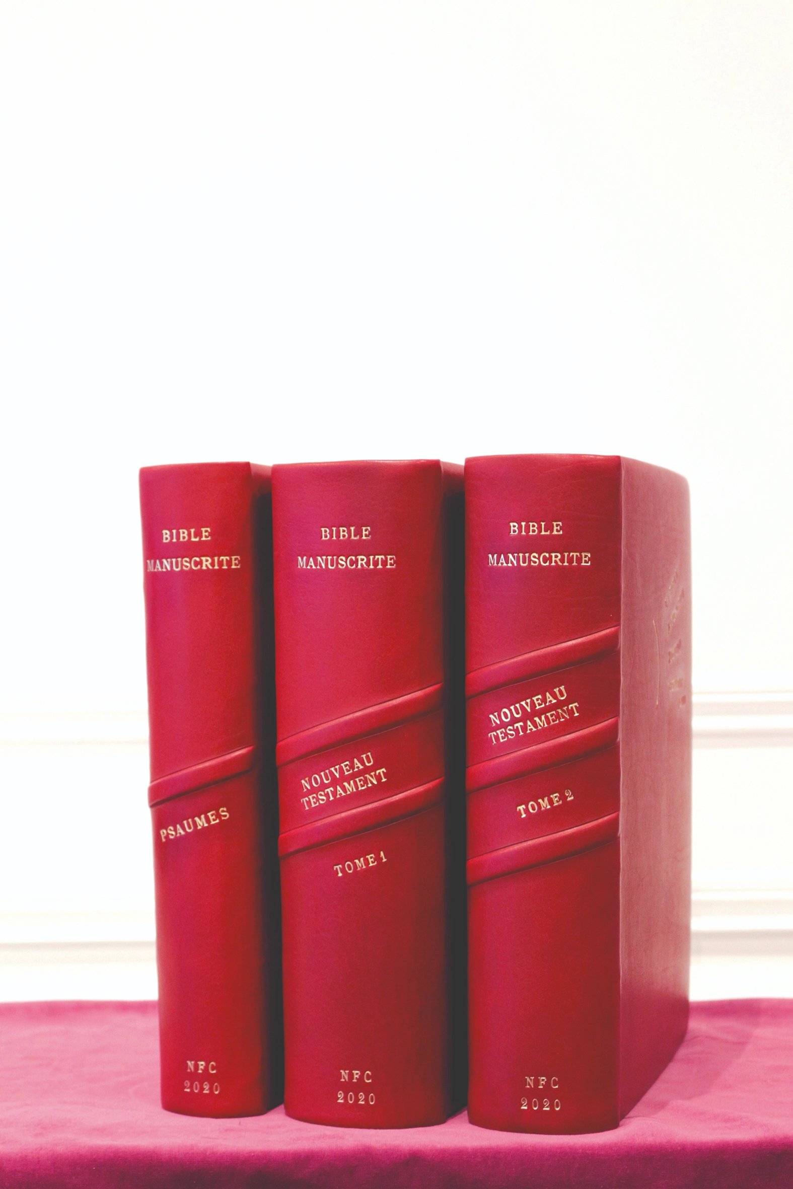 Bible manuscrite 2